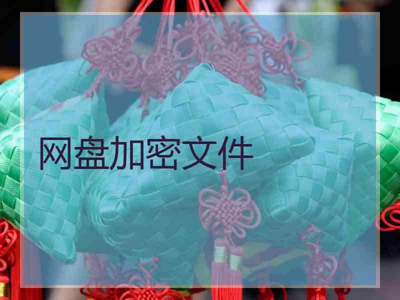 网盘加密文件