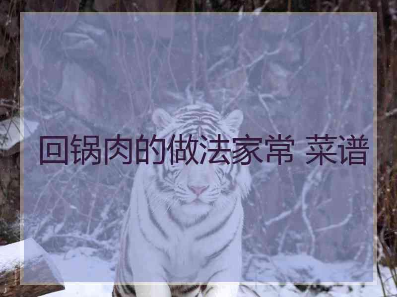 回锅肉的做法家常 菜谱
