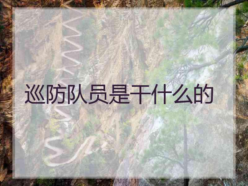 巡防队员是干什么的