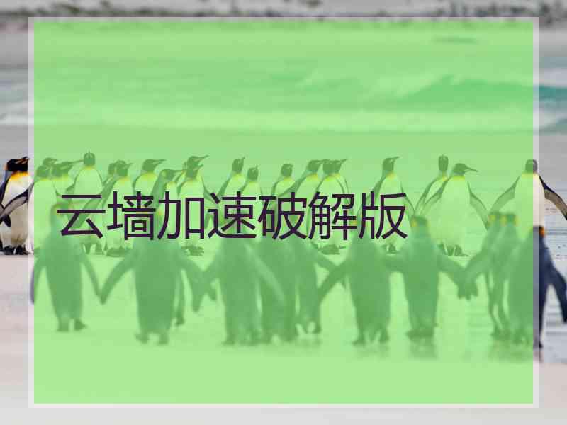 云墙加速破解版