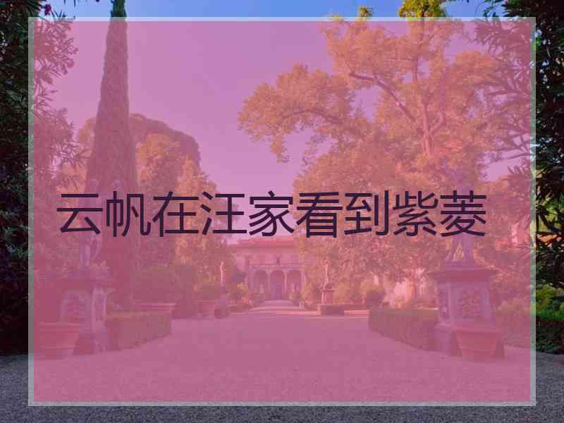 云帆在汪家看到紫菱