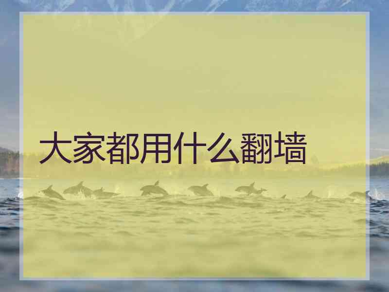 大家都用什么翻墙