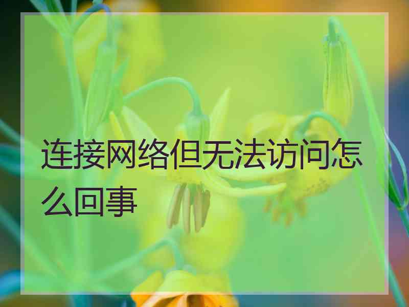 连接网络但无法访问怎么回事