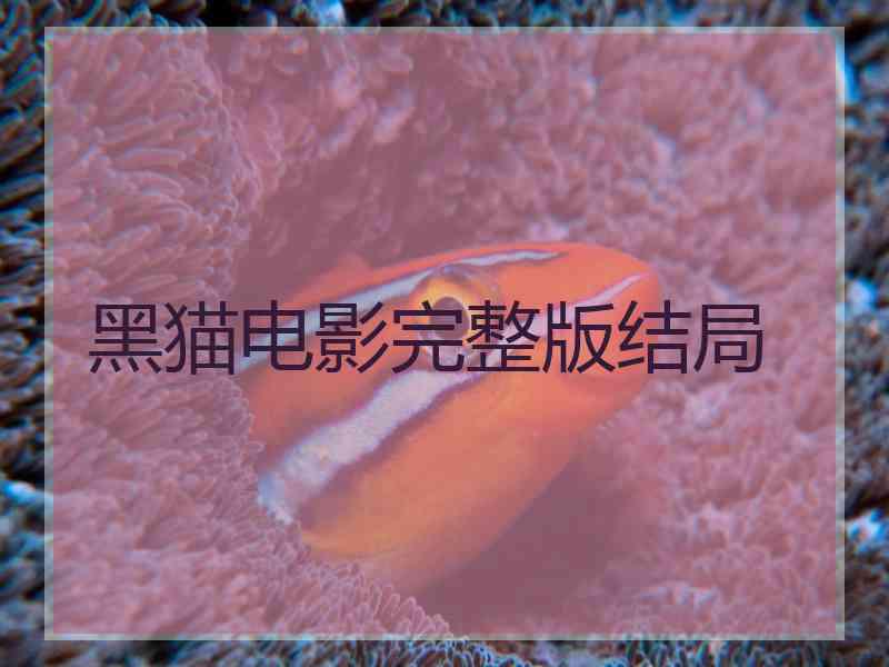 黑猫电影完整版结局