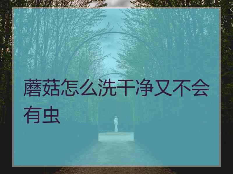 蘑菇怎么洗干净又不会有虫