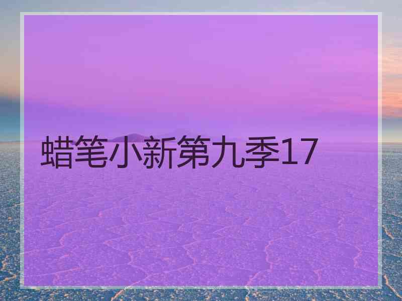 蜡笔小新第九季17