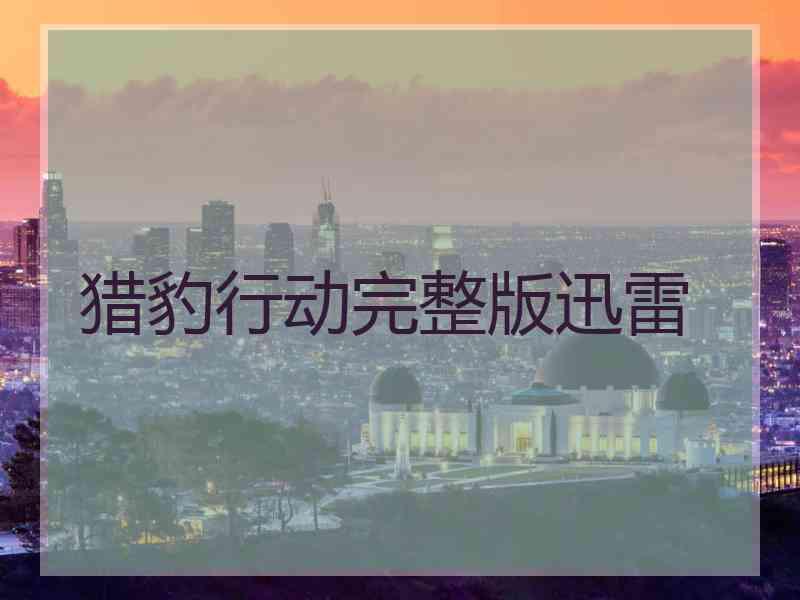 猎豹行动完整版迅雷