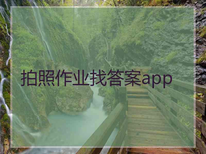 拍照作业找答案app
