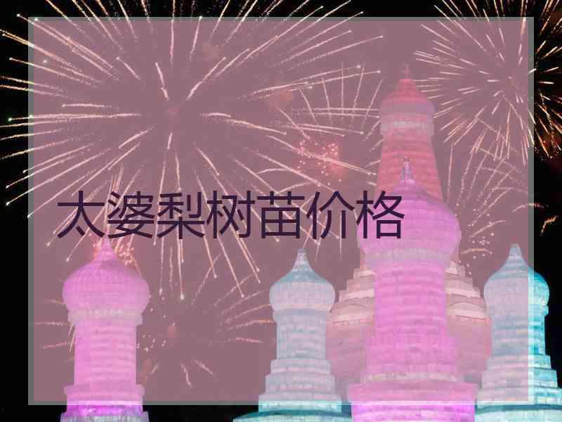 太婆梨树苗价格