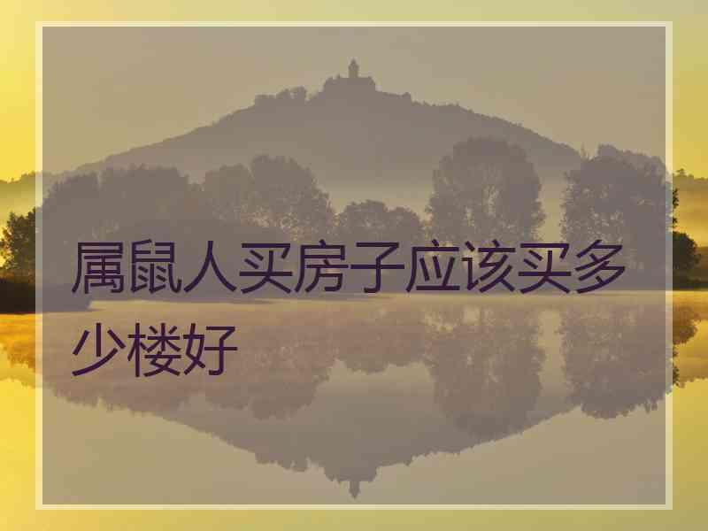属鼠人买房子应该买多少楼好