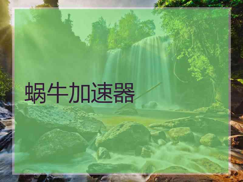 蜗牛加速器