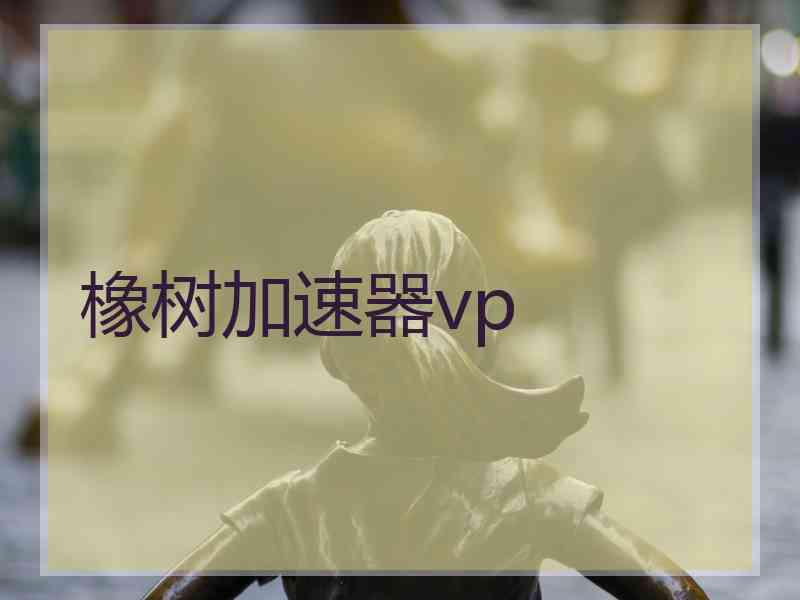 橡树加速器vp