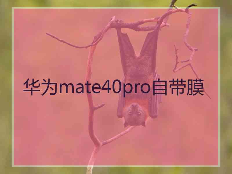 华为mate40pro自带膜