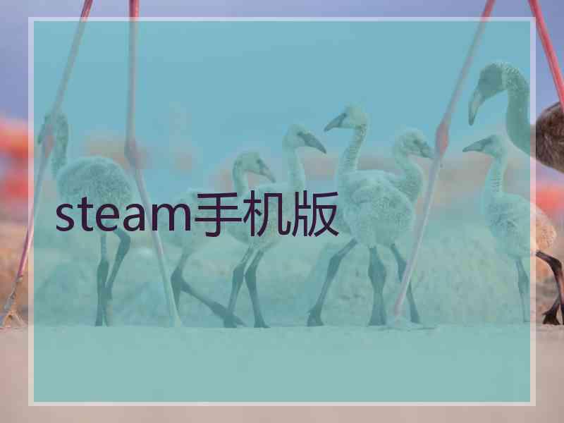 steam手机版