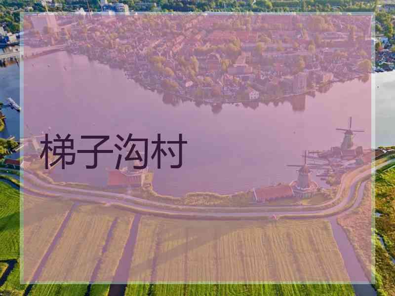 梯子沟村