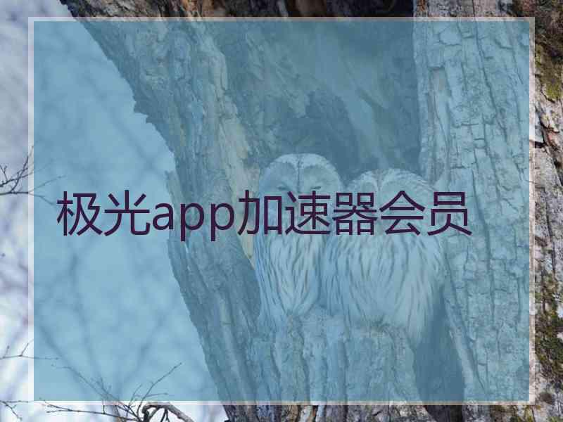 极光app加速器会员