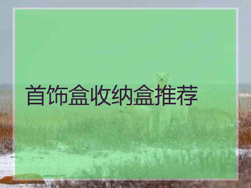 首饰盒收纳盒推荐