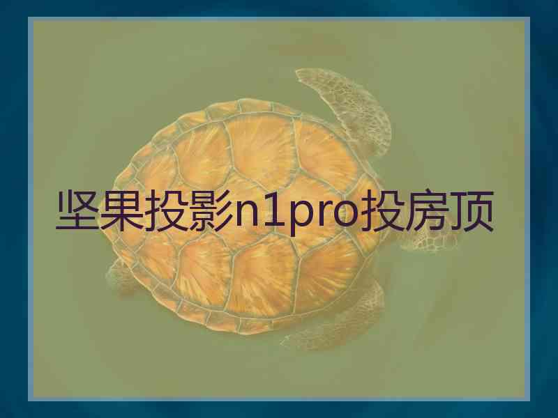 坚果投影n1pro投房顶