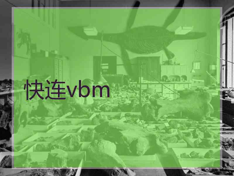 快连vbm