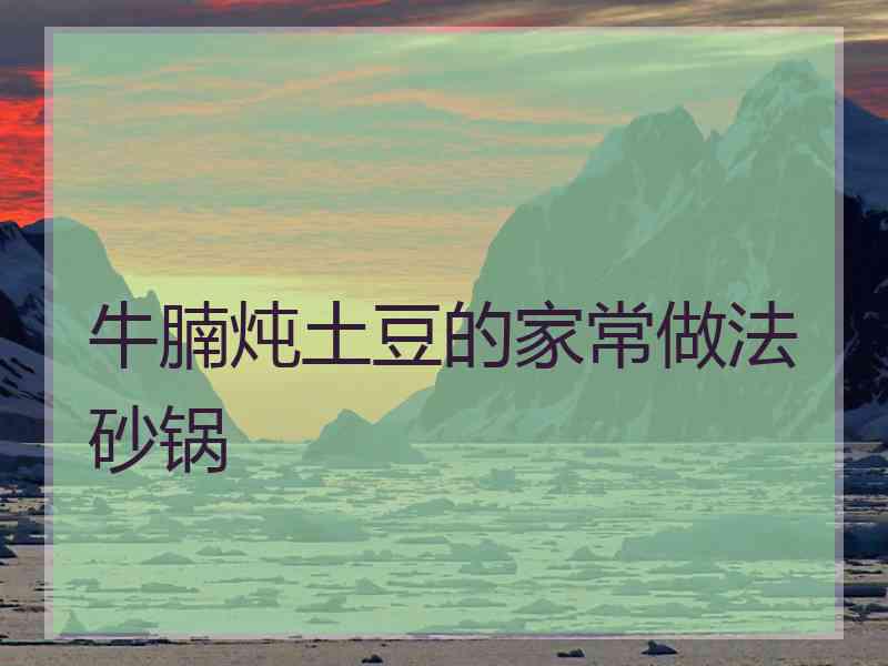牛腩炖土豆的家常做法砂锅