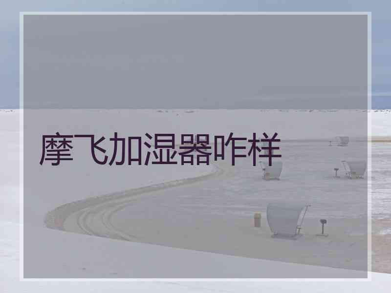 摩飞加湿器咋样