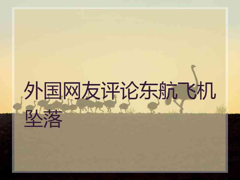 外国网友评论东航飞机坠落