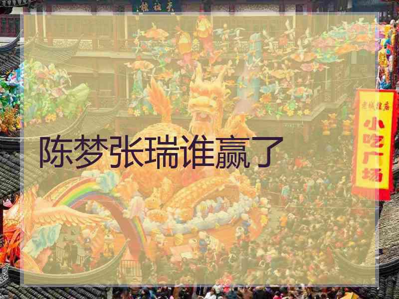 陈梦张瑞谁赢了