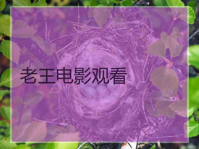 老王电影观看