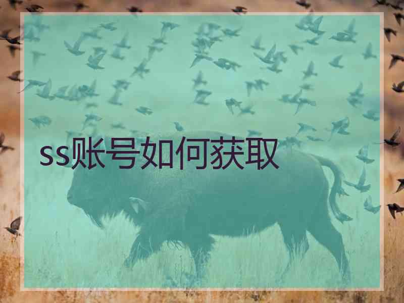 ss账号如何获取