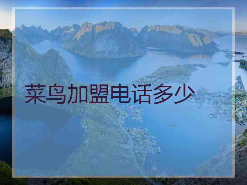 菜鸟加盟电话多少