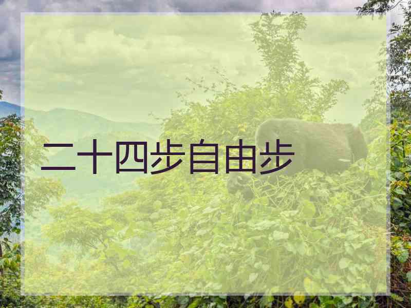 二十四步自由步