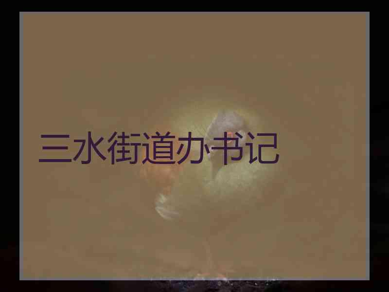 三水街道办书记