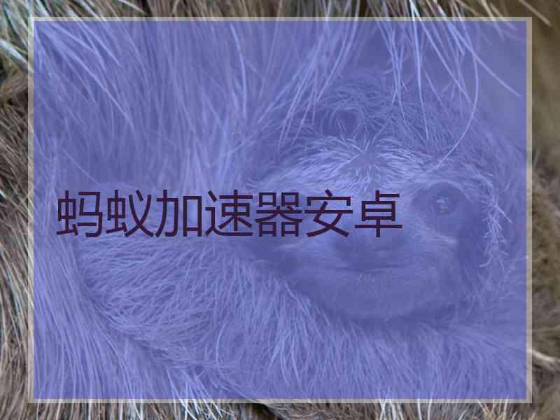 蚂蚁加速器安卓