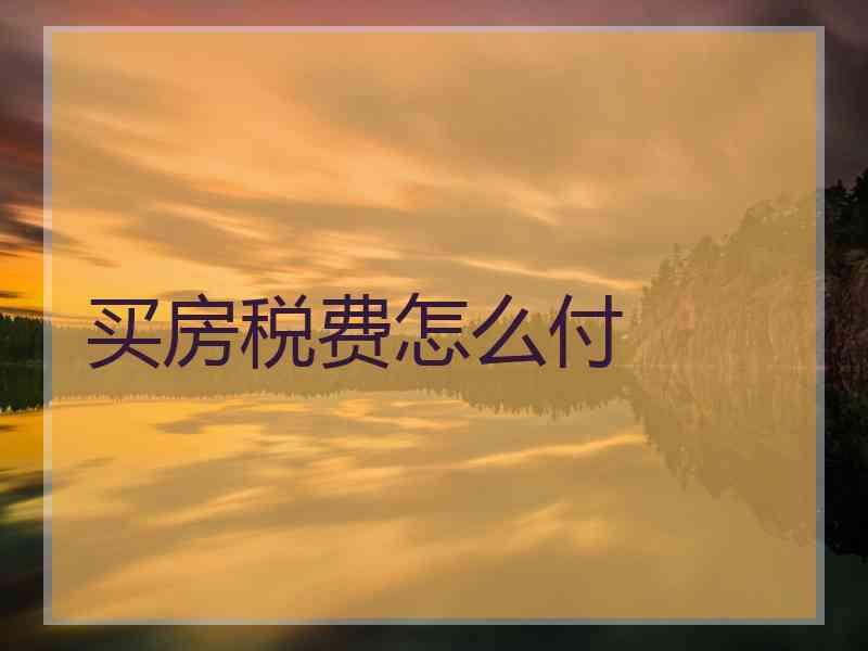 买房税费怎么付