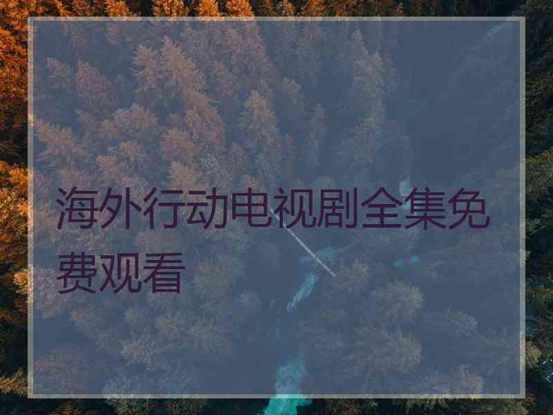 海外行动电视剧全集免费观看
