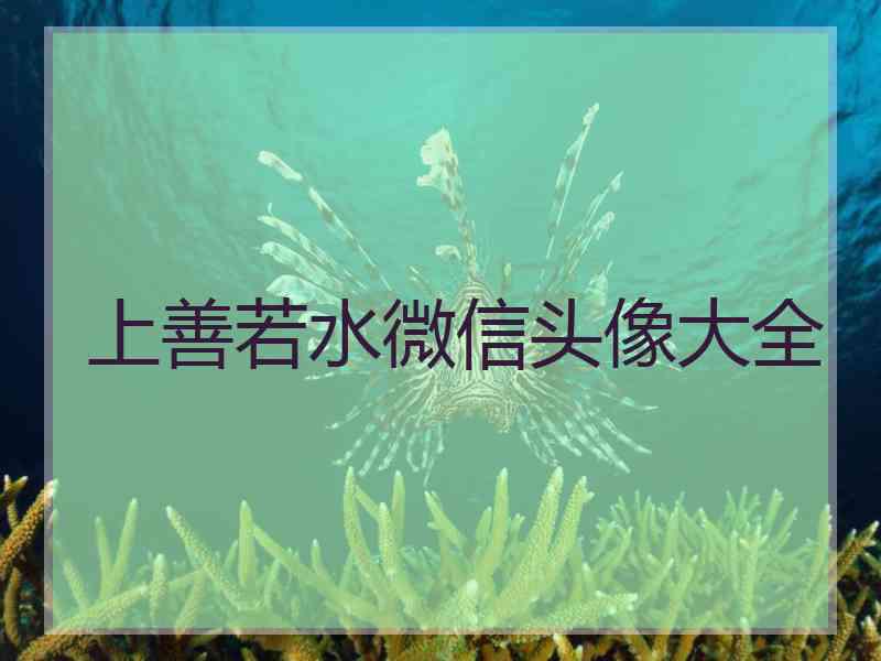 上善若水微信头像大全