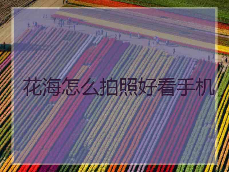 花海怎么拍照好看手机