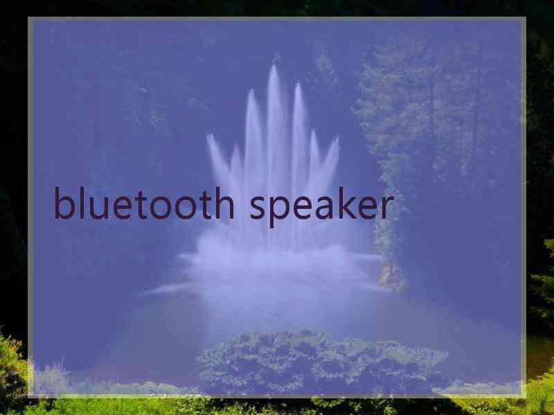 bluetooth speaker