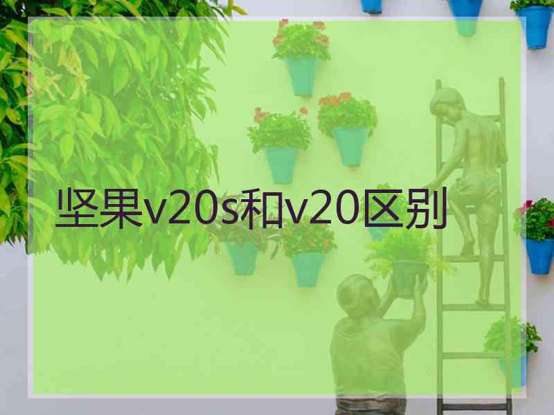 坚果v20s和v20区别