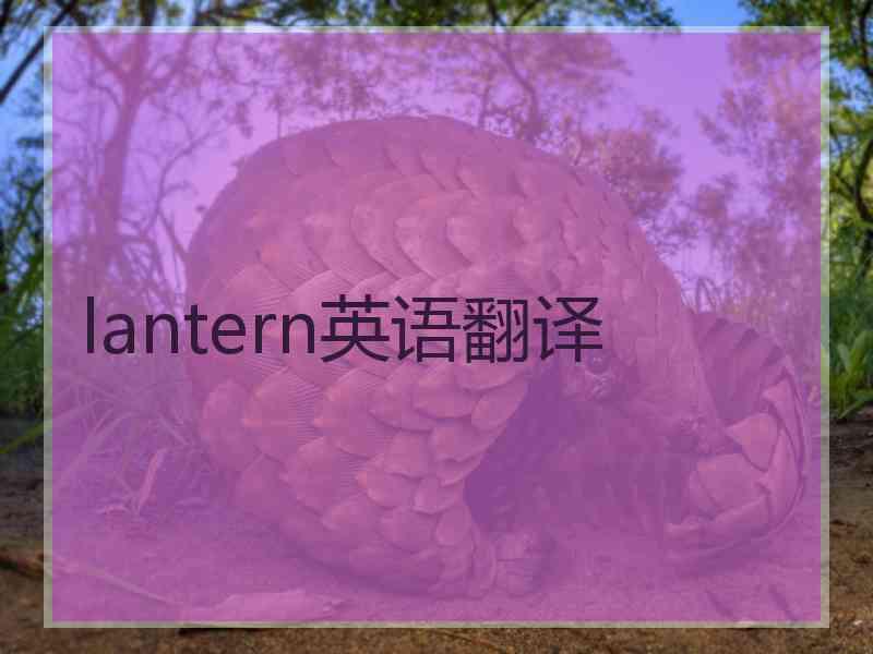 lantern英语翻译