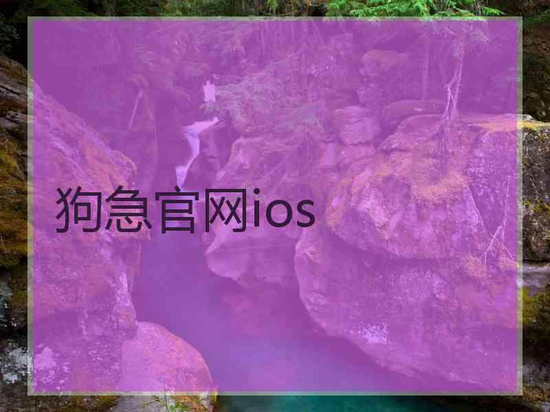 狗急官网ios