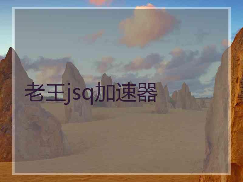 老王jsq加速器