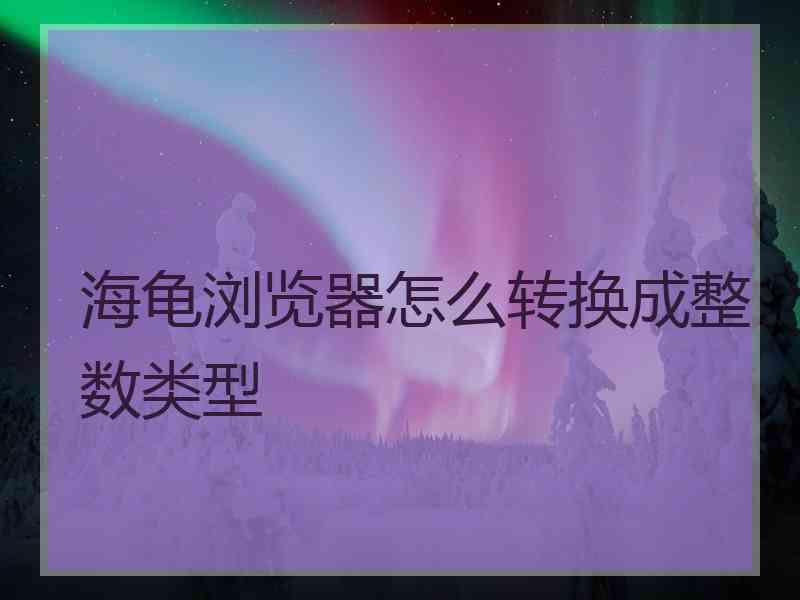 海龟浏览器怎么转换成整数类型