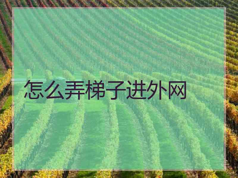 怎么弄梯子进外网