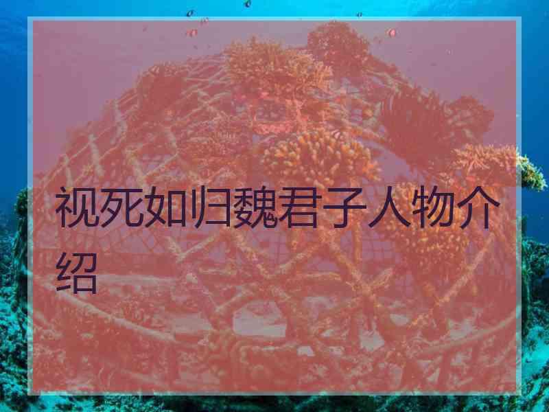 视死如归魏君子人物介绍