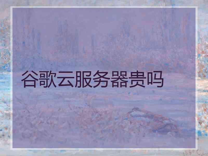 谷歌云服务器贵吗