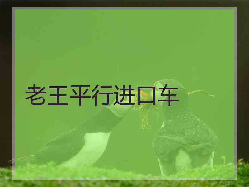 老王平行进口车