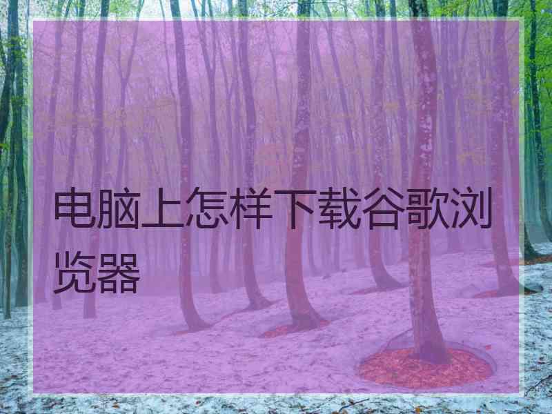 电脑上怎样下载谷歌浏览器