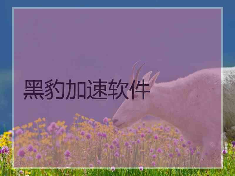 黑豹加速软件