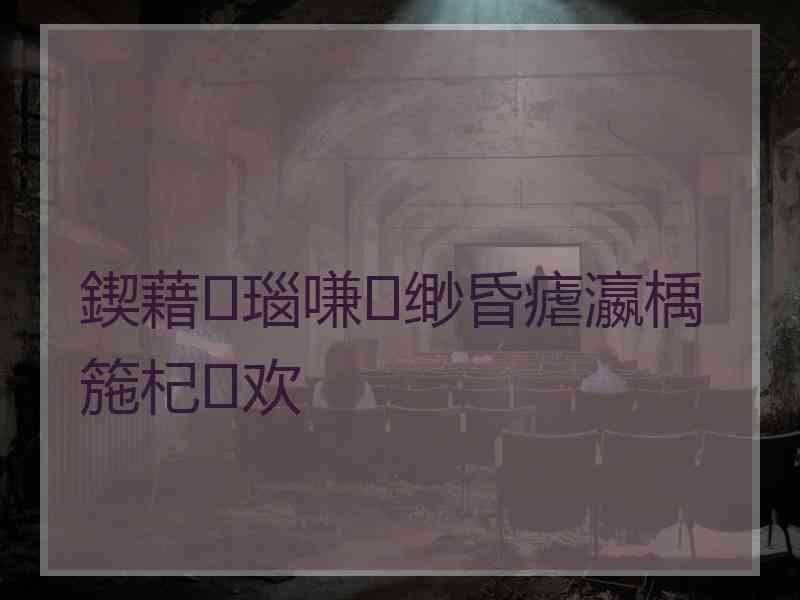 鍥藉瑙嗛缈昏瘧瀛楀箷杞欢